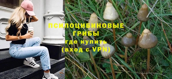 МДПВ Абинск