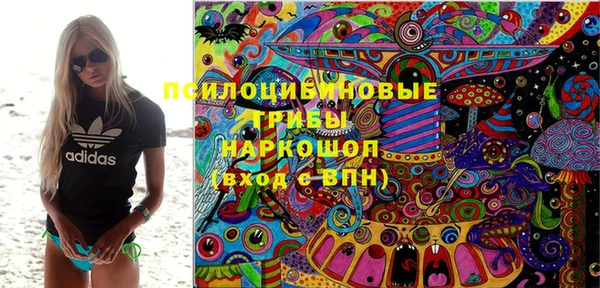 кокс Алексин
