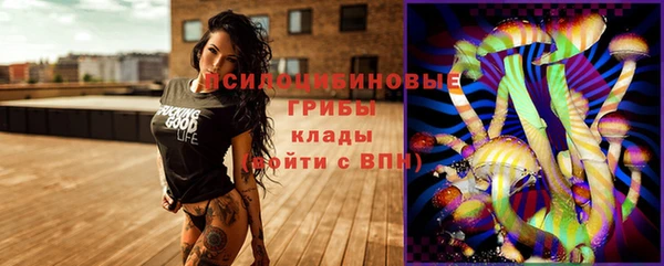 МДПВ Абинск