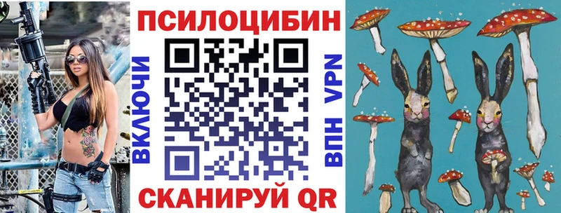 Псилоцибиновые грибы прущие грибы  Устюжна 